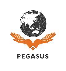 Logo Cao đẳng Quốc tế Pegasus