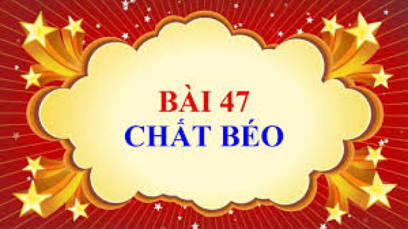 Bài 47: Chất béo