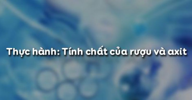 Bài 49: Thực hành: Tính chất của rượu và axit