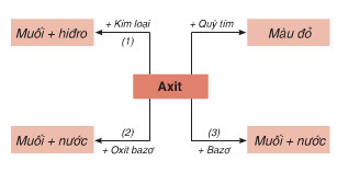 Lý thuyết Luyện tập Tính chất hóa học của oxit và axit | SGK Hóa lớp 9