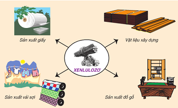 Giải bài 52: Tinh bột và xenlulozơ - SGK hóa học 9 trang 156