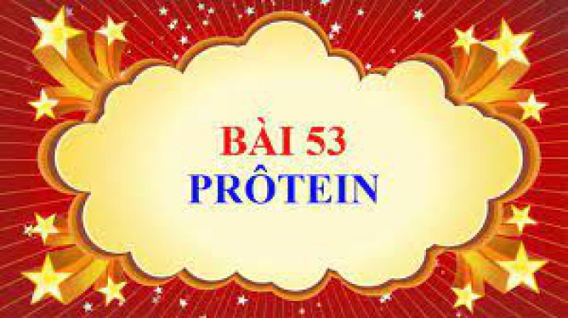 Bài 53: Protein