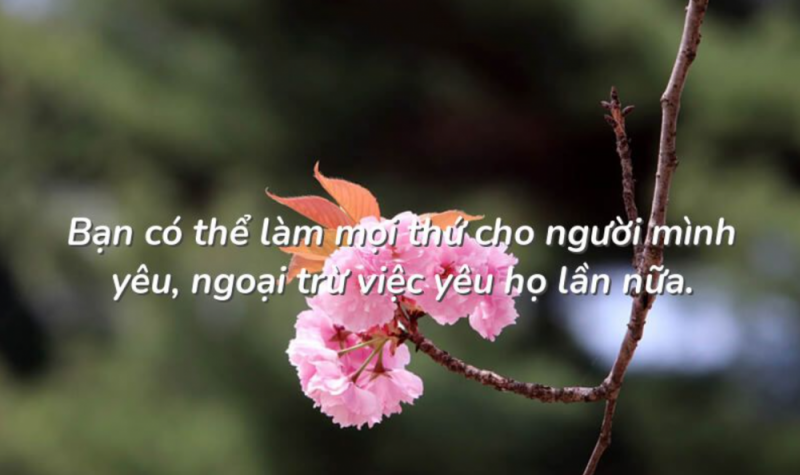 Bạn có thể làm mọi thứ cho người mình yêu, ngoại trừ việc yêu họ lần nữa