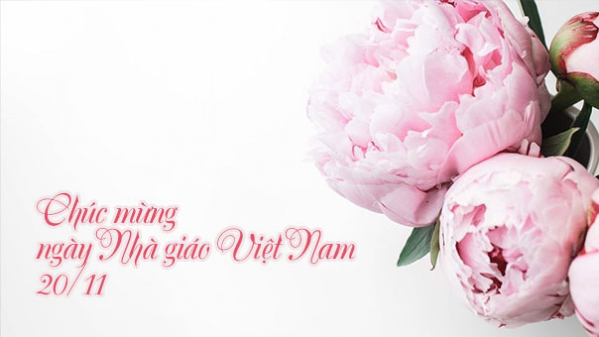 Các mẫu hoa 20/11 tuyệt đẹp, ý nghĩa sâu sắc tặng thầy cô ngày Nhà giáo  Việt Nam