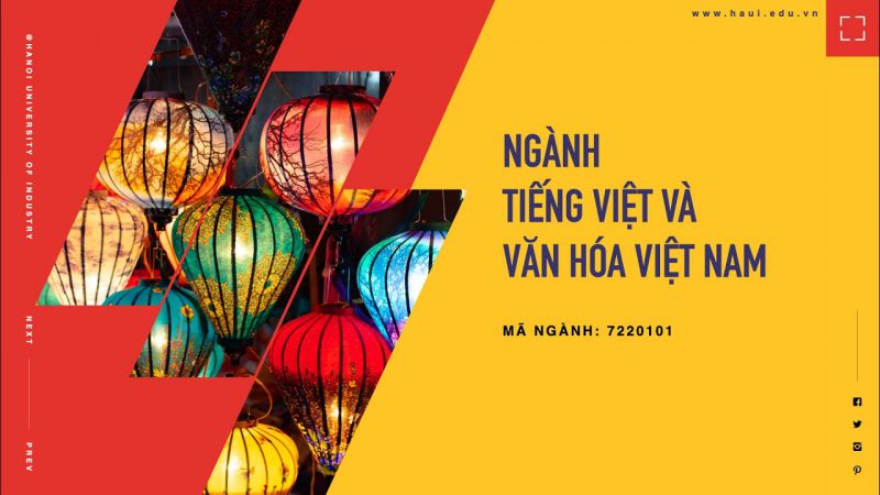 Tiếng Việt và văn hoá Việt Nam