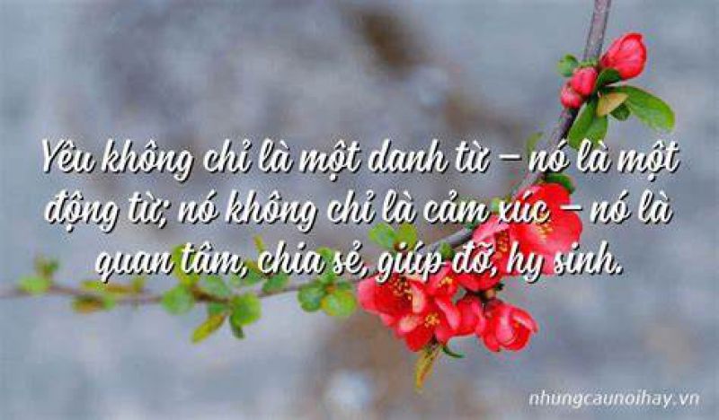 Yêu không chỉ là một danh từ - nó là một động từ; nó không chỉ là cảm xúc - nó là quan tâm, chia sẻ, giúp đỡ, hy sinh