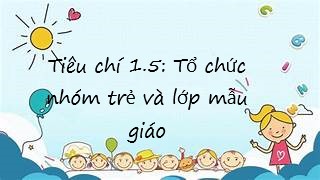 Tiêu chí 1.5: Tổ chức nhóm trẻ và lớp mẫu giáo