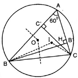 Giải Câu 51 Bài 6: Cung chứa góc