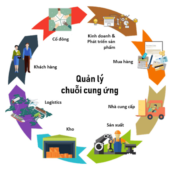 Ngành Logistics và Quản lý Chuỗi cung ứng hấp dẫn như thế nào?