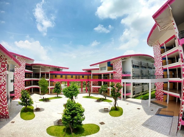 Một ngày rời phố về nơi 'Hạnh phúc bừng nở' tại ngôi trường TH School Hòa Lạc