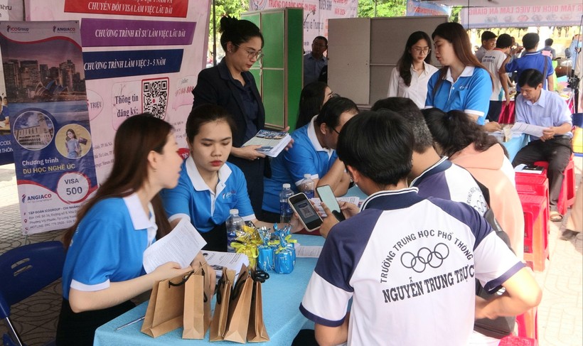 Tư vấn hướng nghiệp, học nghề và giới thiệu việc làm cho người lao động và học sinh.