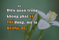 Điều quan trọng ko phải vị trí ta đang đứng, mà ở hướng ta đang đi