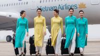 Học ngành gì mới làm được tiếp viên hàng không?