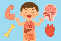 Cơ thể mình hoạt động như thế nào