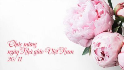 BST thiệp mừng ngày Nhà giáo Việt Nam 20/11 đẹp nhất