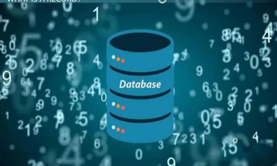 Cơ sở dữ liệu phổ biến trong lập trình web