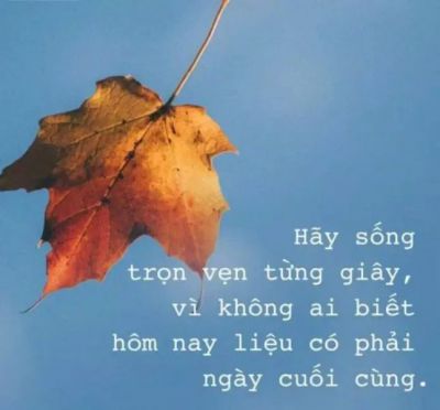 Hãy sống trọn vẹn từng giây, vì không ai biết liệu hôm nay có phải ngày cuối cùng