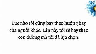 Lúc nào tôi cũng bay theo hướng bay của người khác. Lần này tôi sẽ bay theo con đường mà tôi đã lựa chọn